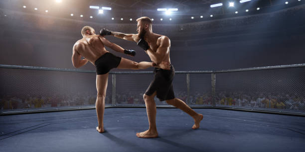 istock MMA fighters in professional boxing ring 919833272
