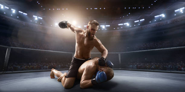 istock MMA fighters in professional boxing ring 919833406