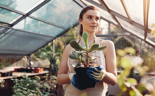 Beautiful young woman with a cactus plant in greenhouse. Female worker working at garden center.
