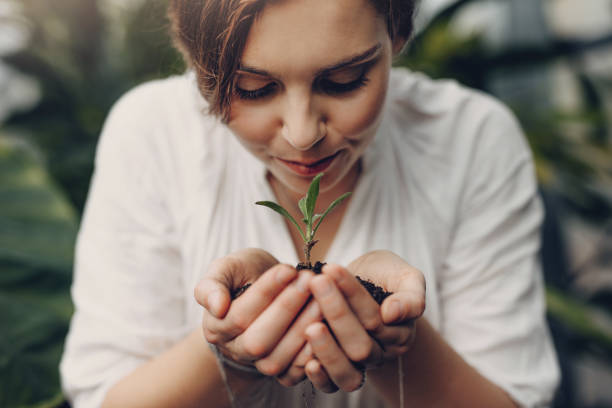 donna che annusa piccola pianta in centro giardino - planting tree human hand women foto e immagini stock