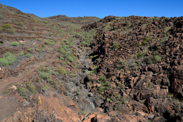 istock La Gomera: hike from Playa de Santiago to San Sebastian 919845338