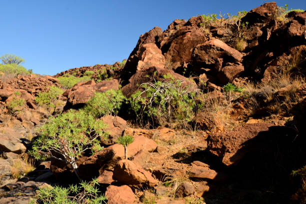 istock La Gomera: hike from Playa de Santiago to San Sebastian 919845422