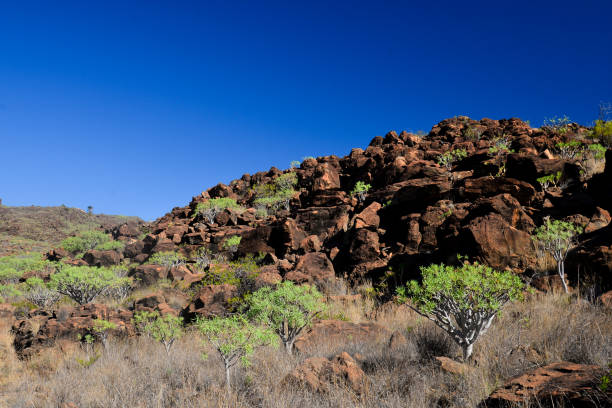 istock La Gomera: hike from Playa de Santiago to San Sebastian 919845448