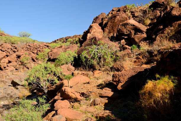 istock La Gomera: hike from Playa de Santiago to San Sebastian 919845450