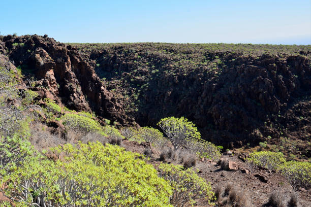 istock La Gomera: hike from Playa de Santiago to San Sebastian 919845896