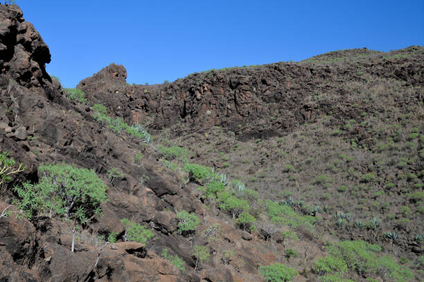 istock La Gomera: hike from Playa de Santiago to San Sebastian 919845968