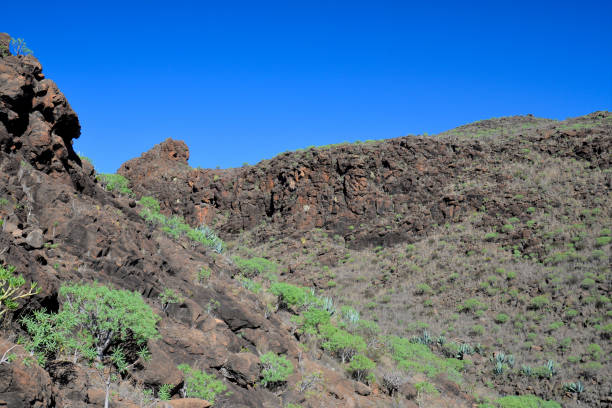 istock La Gomera: hike from Playa de Santiago to San Sebastian 919845978