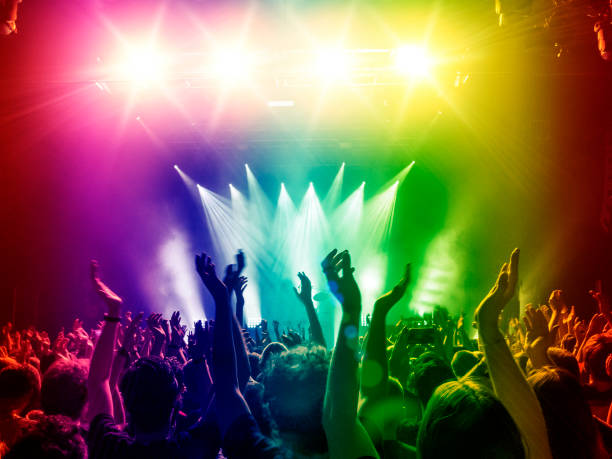 istock Concert crowd in front of a live stage 919864232