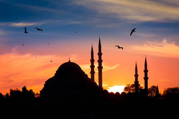 mezquita en la noche en estambul, turquía - worship place fotografías e imágenes de stock