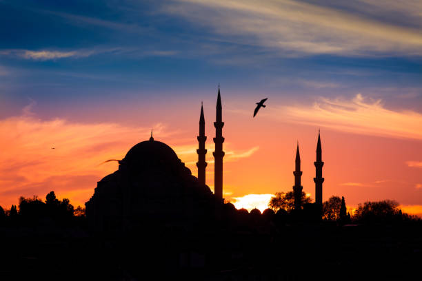 mosquée dans la nuit à istanbul en turquie - monotheist photos et images de collection