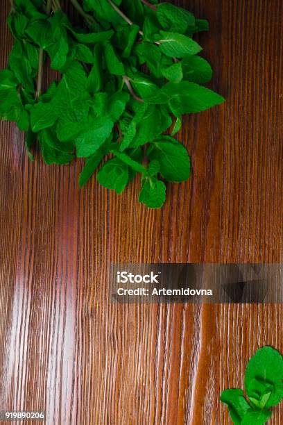 Fresh Peppermint Stock Photo - Download Image Now - Aromatherapy, Beauty, Breath Vapor