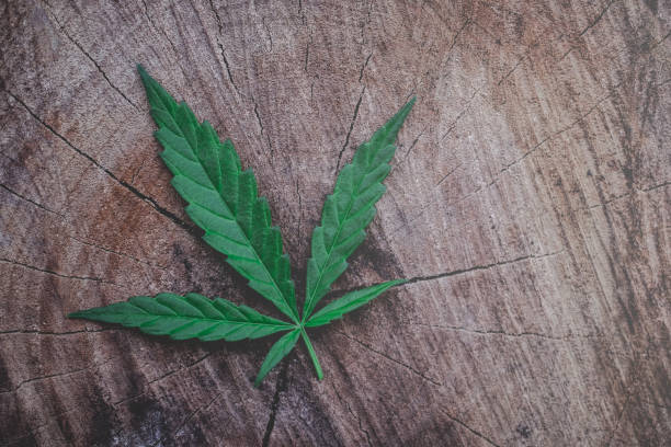 istock marijuana joint weed smoking close up on background 919912638