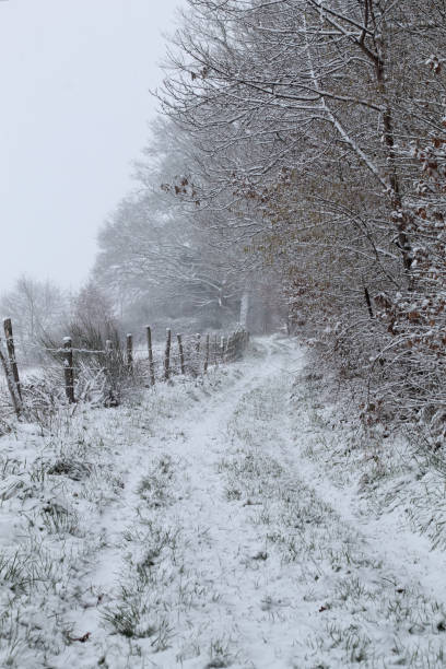 istock Path covered with snow in the limousin countryside 919939814