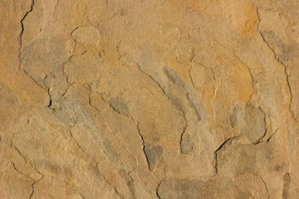 Photo of Yellow Sandstone Natural Face Surface