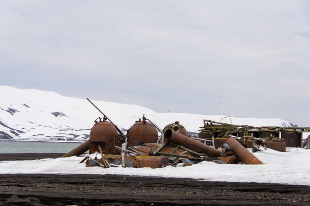 istock Old whaling station on Deception island 919960606