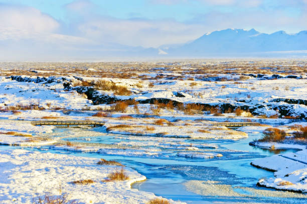 istock Thingvellir National Park in Iceland in winter. 919964104