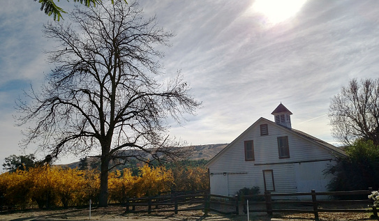Leafless tree and old barn in autumn along country road in Redlands California