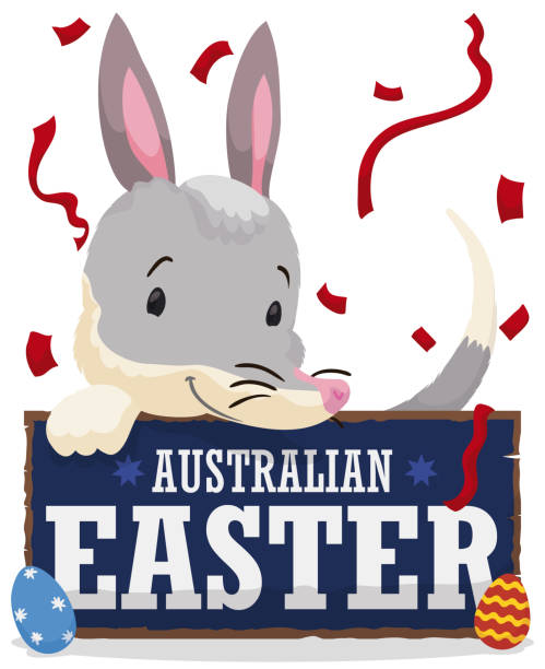 ilustrações, clipart, desenhos animados e ícones de feliz leucura segurando uma placa de saudação para páscoa australiana - bilby