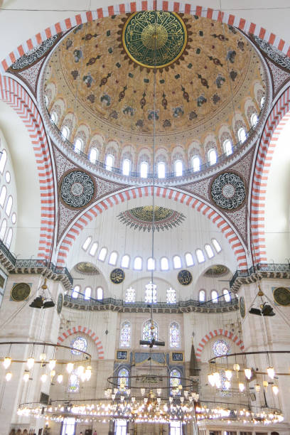 istock Suleymaniye Mosque (Suleymaniye Camisi) in Istanbul, Turkey 919995796
