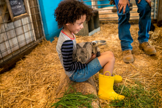 istock A young girl has a bunny in her lap 920000904