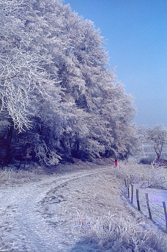 Hesse, Germany, 1982. The first frost is spreading over the country.
