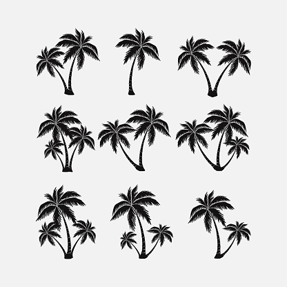 set of silhouettes of palm trees, exotic symbol, realistic style, vector image