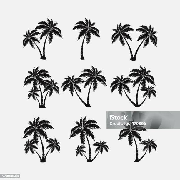 Set Of Silhouettes Of Palm Trees Exotic Symbol Realistic Style Stock Illustration - Download Image Now