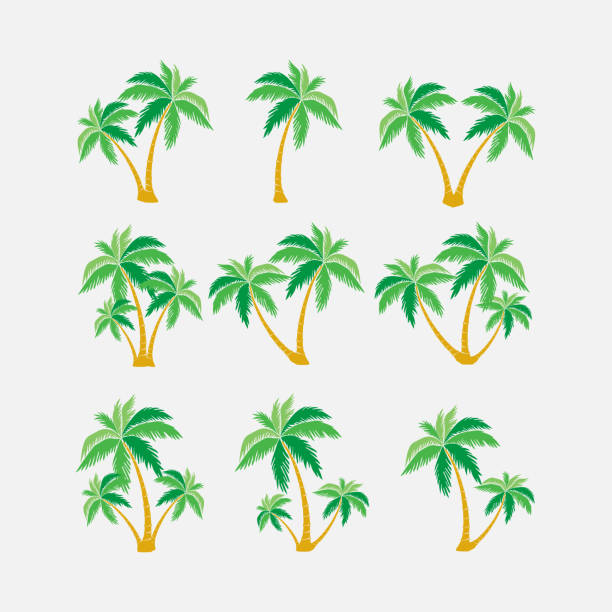 illustrations, cliparts, dessins animés et icônes de jeu des silhouettes des palmiers, symbole exotique - palm leaf frond leaf backgrounds