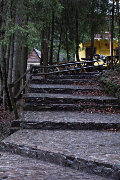 istock Stone staircase in the park. 920011612