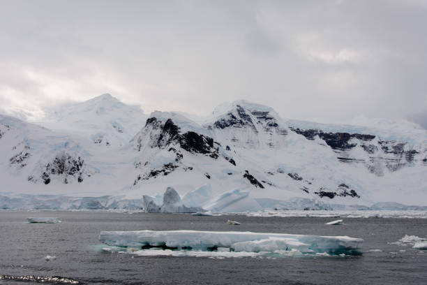 istock Antarctic landscape with glacier and mountains 920014392