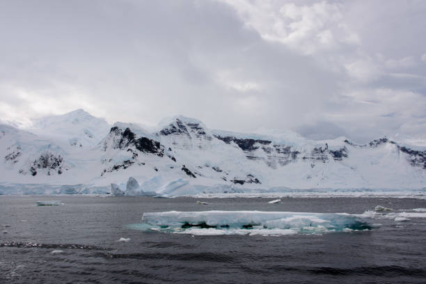 istock Antarctic landscape with glacier and mountains 920014424