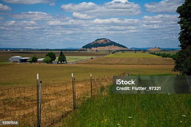 Valle De Willamette Verano Foto de stock y más banco de imágenes de Raygrás inglesa - Raygrás inglesa, Aire libre, Campo - Tierra cultivada