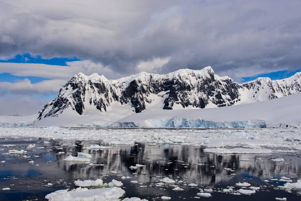 istock Antarctic landscape with glacier and mountains 920017390