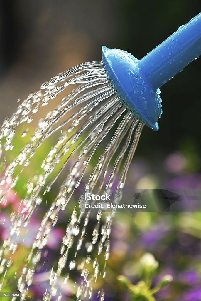 Watering flowers  Back Lit Stock Photo