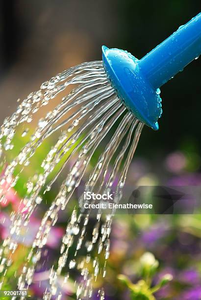 Watering Flowers Stock Photo - Download Image Now - Back Lit, Botany, Can