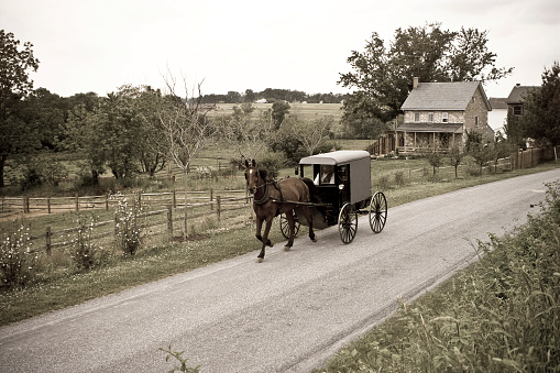 Gap, USA - November 11, 2023. A running Amish buggy with two boys in background, Lancaster County, Pennsylvania, USA