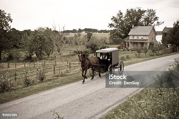 Amish Horsedrawn Buggy Lancaster County Pennsylvania Stock Photo - Download Image Now