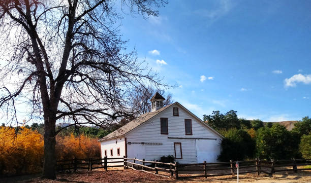 istock Leafless oak tree and rustic old barn and fence in autumn with pomegranate and citrus orchard near Redlands California 920029912