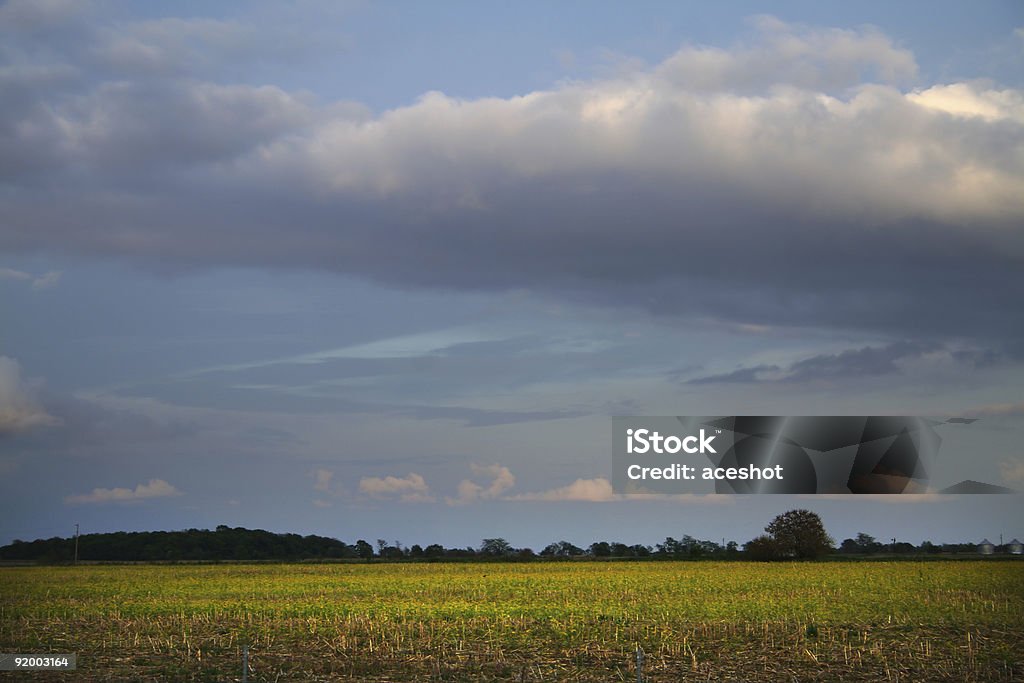 Himmlische meadow - Lizenzfrei Abenddämmerung Stock-Foto