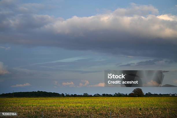 Himmlische Meadow Stockfoto und mehr Bilder von Abenddämmerung - Abenddämmerung, Agrarbetrieb, Blau