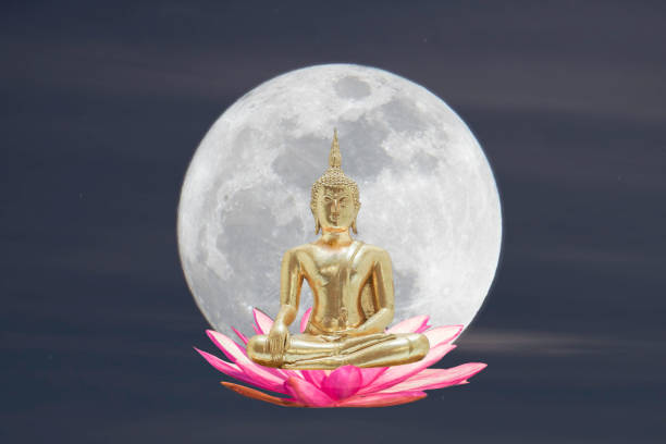 A golden buddha sculpture sitting on pink red lotus A golden buddha sculpture sitting on pink red lotus with large full moon background boadicea statue stock pictures, royalty-free photos & images