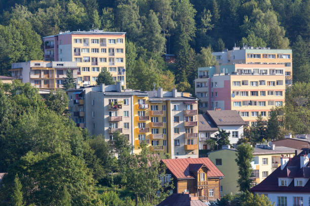 istock Apartment buildings in small town in valley 920033236