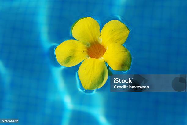 Тропический Цветок — стоковые фотографии и другие картинки Бассейн - Бассейн, Бассейн на курорте, Без людей