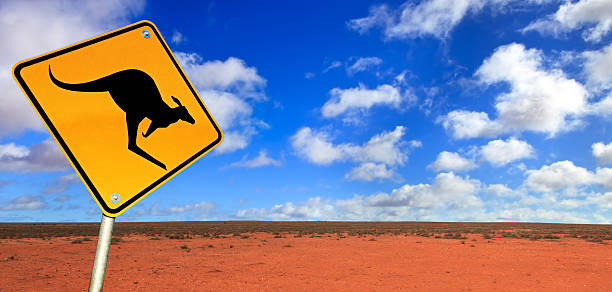 Yellow and black kangaroo warning road sign created in photoshop isolated on white background with clipping path