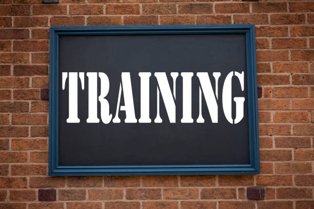 istock Conceptual hand writing text caption inspiration showing announcement Training. Business concept for Education Text knowledge study written on frame old brick background with copy space 920041052