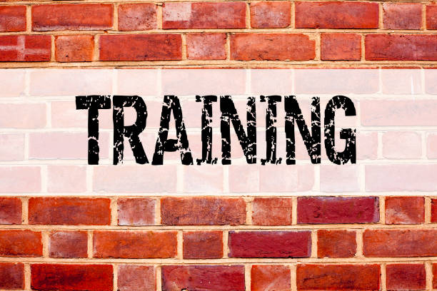istock Conceptual announcement text caption inspiration showing Training. Business concept for Education Text knowledge study written on old brick background with copy space 920041516