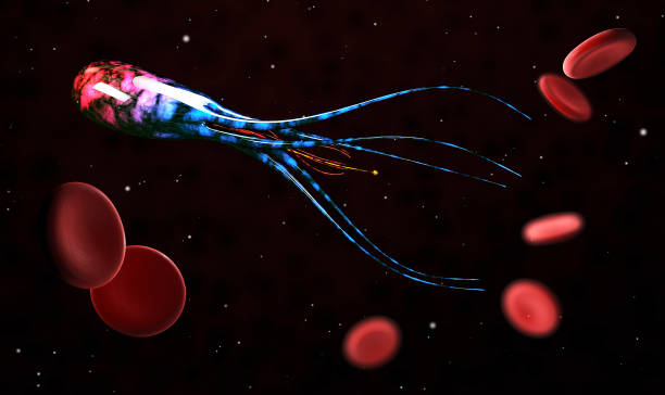 istock Realistic rendering of blue and red bacteria, 3d Illustration 920047538