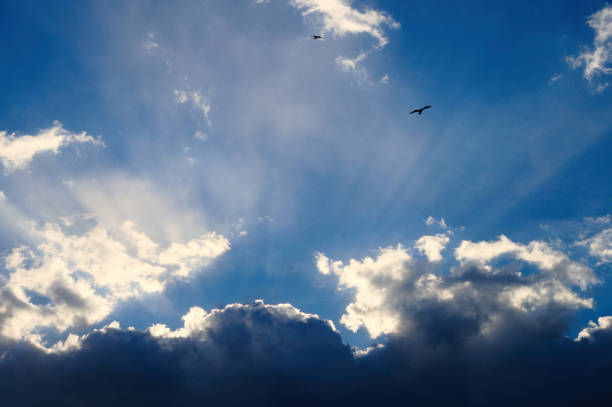 istock Cloudy sky with silhouettes of birds 920053146