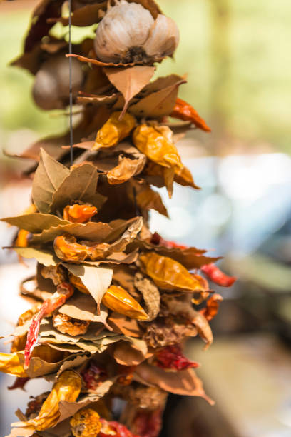 Dry chilly and Bay leaves hanging on a rope. Close up.