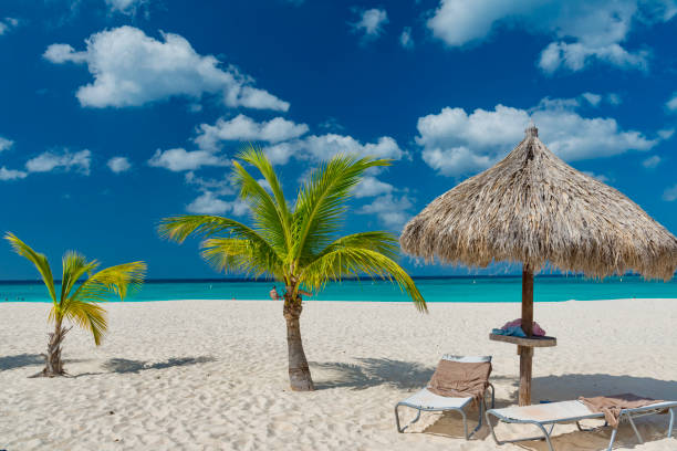 istock caribbean island Aruba 920055610